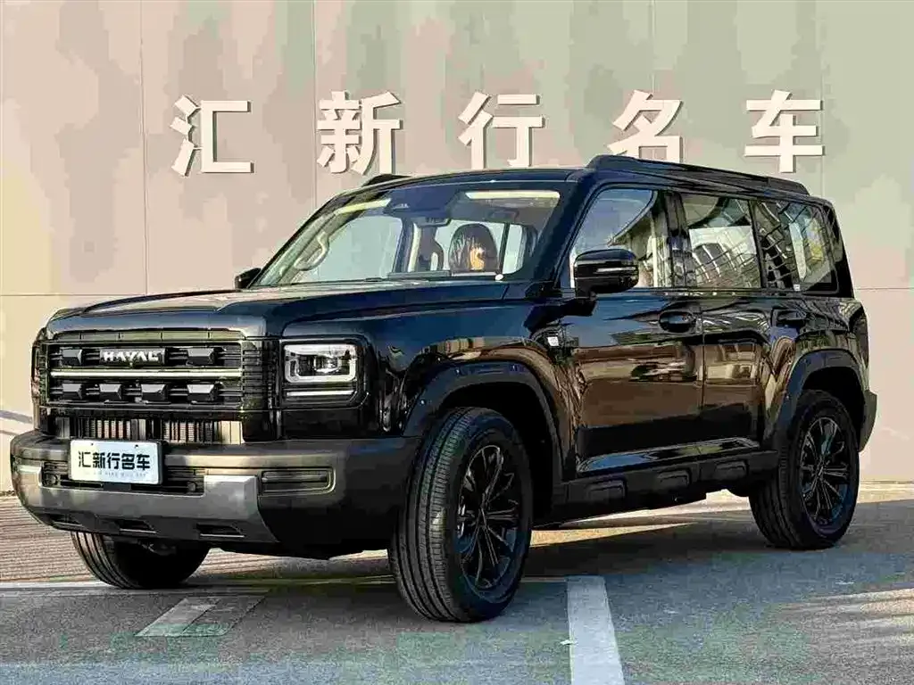 Haval Menglong New Energy — фото 1