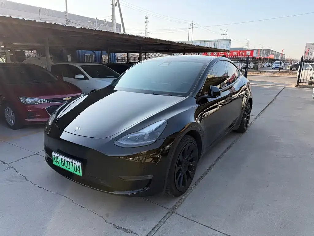 Tesla Model Y — фото 1