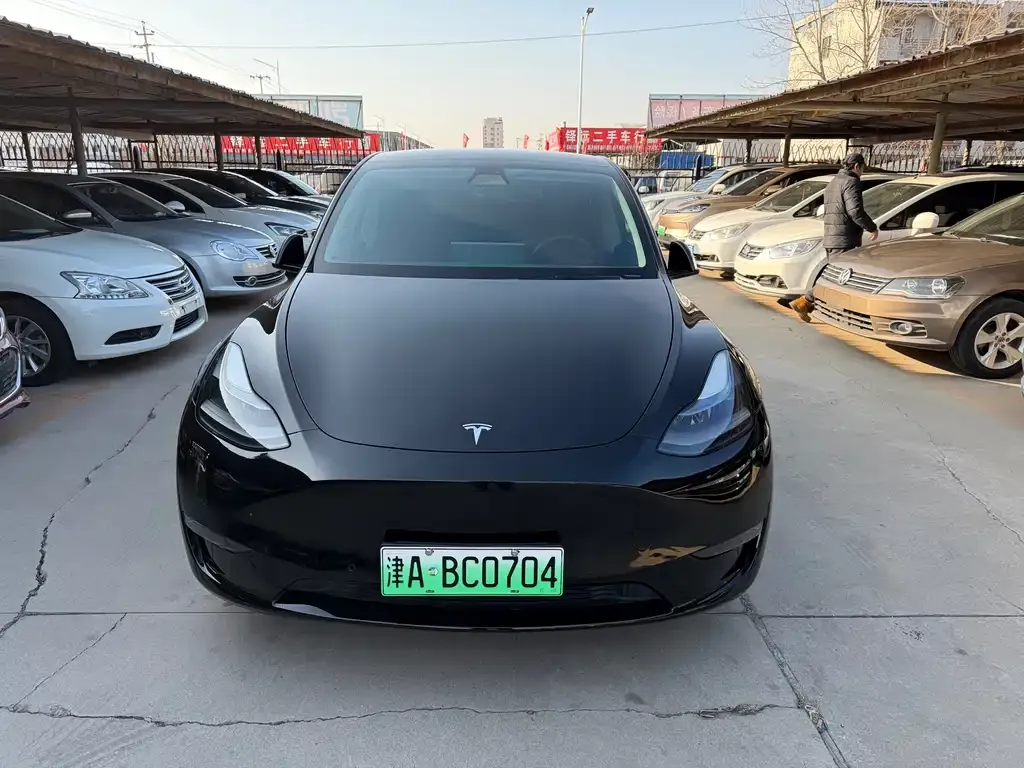 Tesla Model Y — фото 2