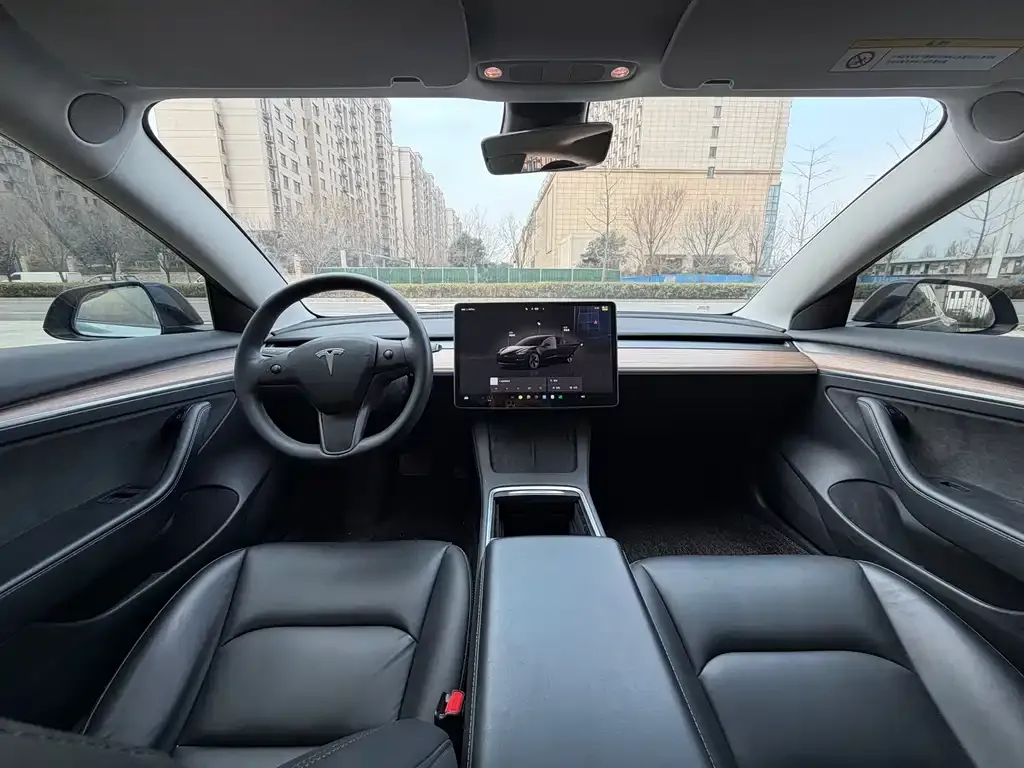 Tesla Model 3 — фото 2