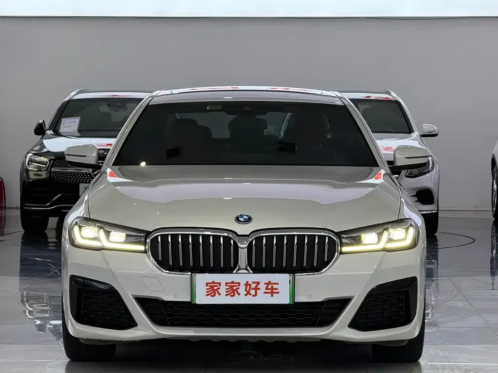 BMW 5 Series New Energy — фото 3
