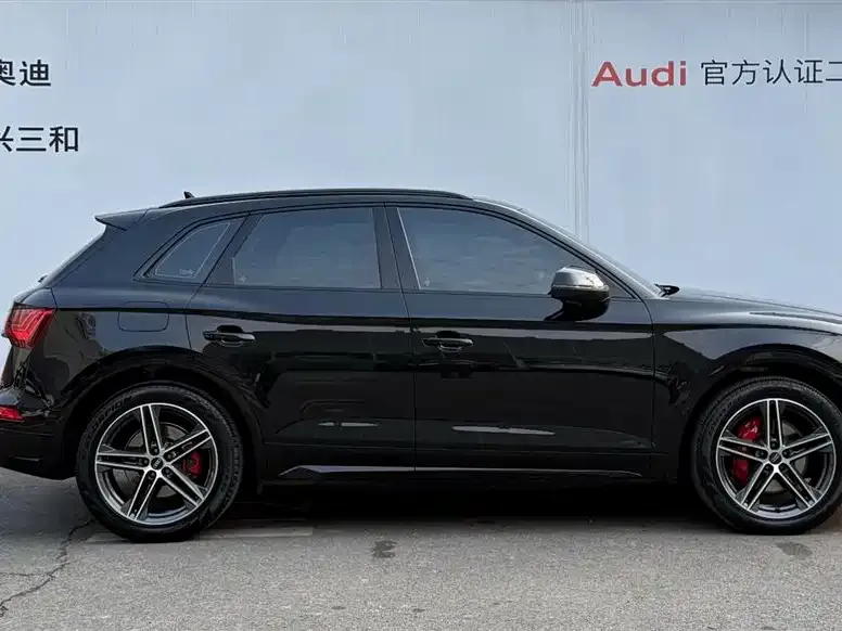 Audi SQ5 — фото 9