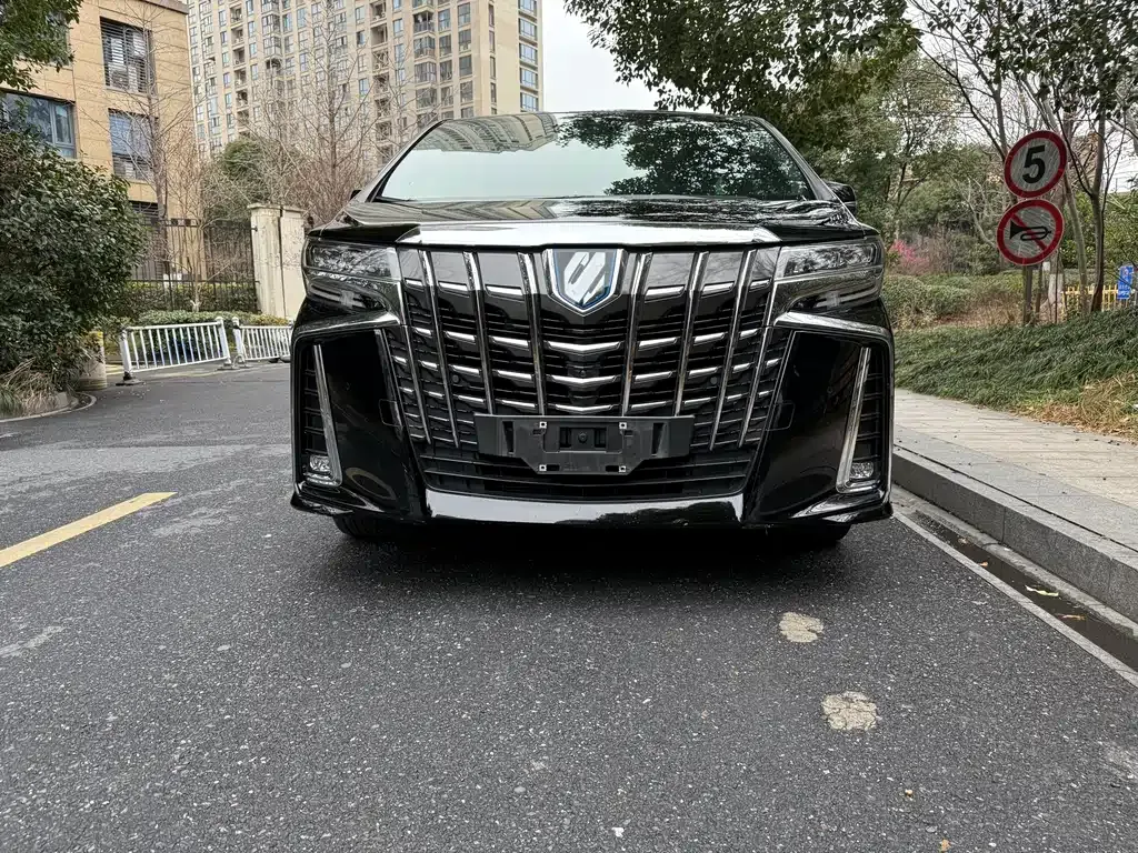 Toyota Alphard — фото 9