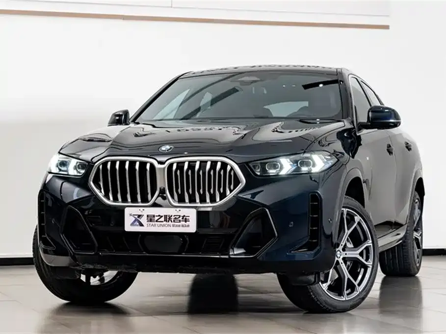 BMW X6 — фото 7