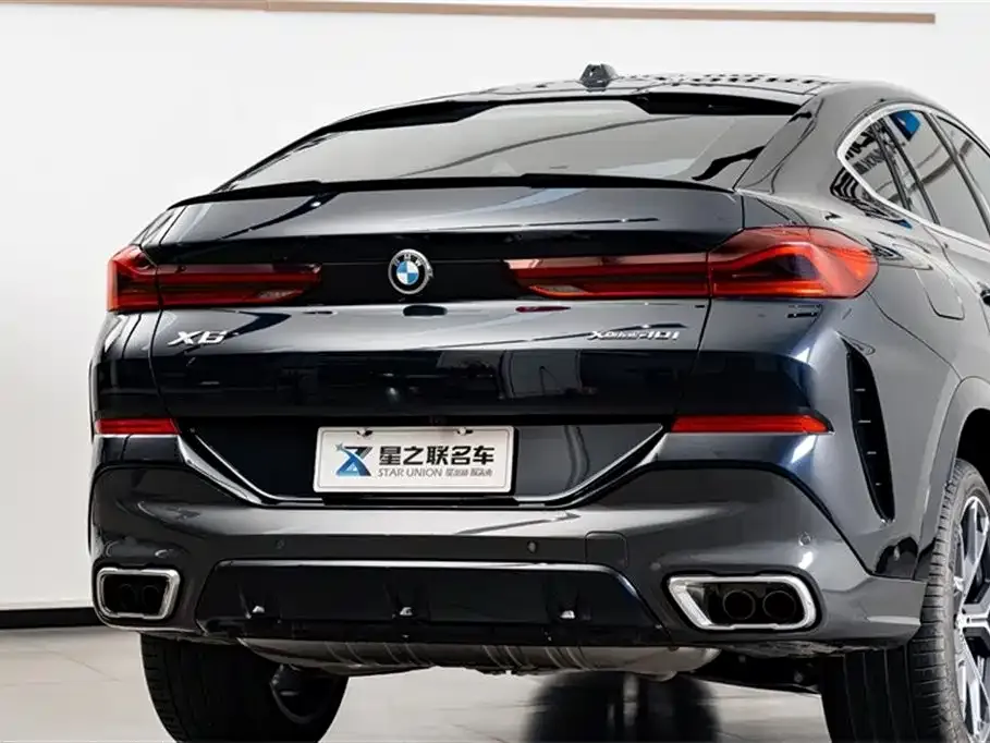 BMW X6 — фото 10