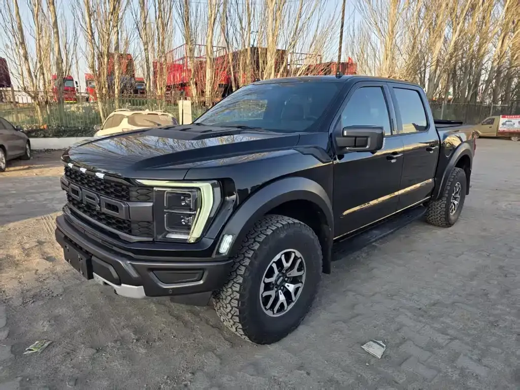 Ford F-150 Raptor — фото 1