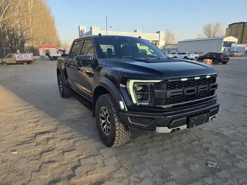 Ford F-150 Raptor — фото 6