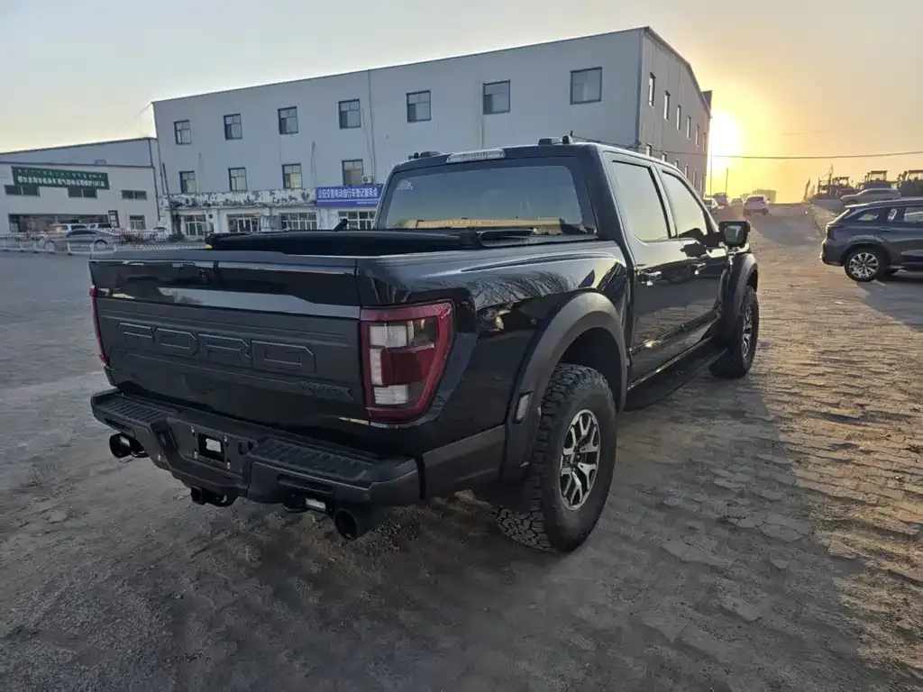 Ford F-150 Raptor — фото 4