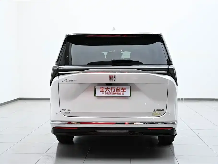 Buick GL8 Hybrid — фото 10