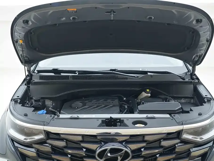 Hyundai Custo — фото 7