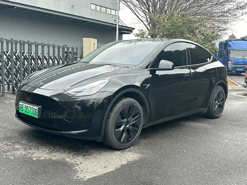 Tesla Model Y — фото 1