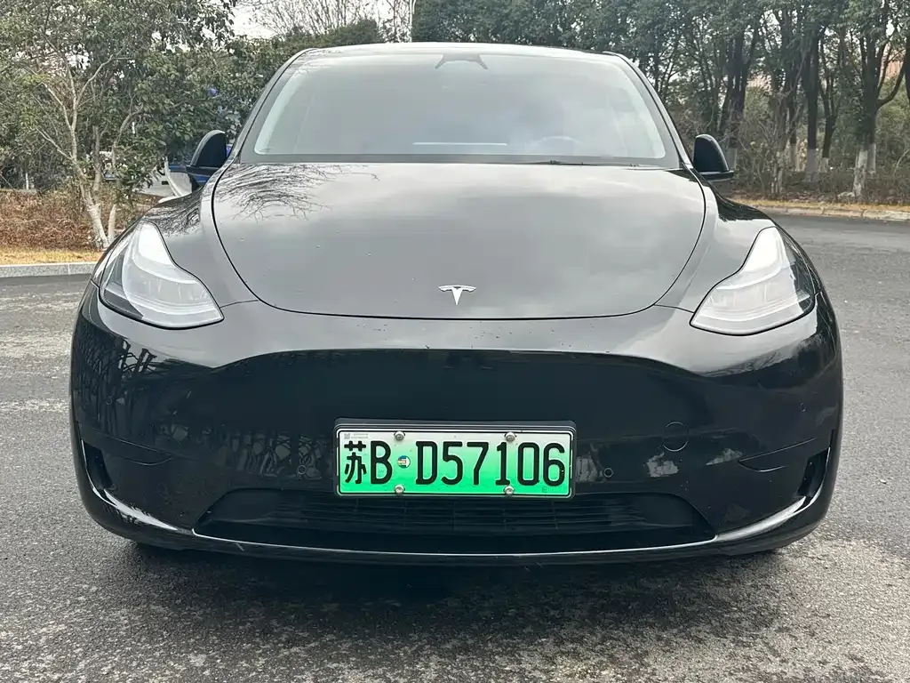 Tesla Model Y — фото 8