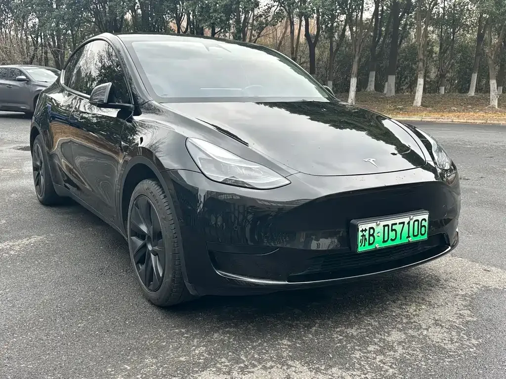 Tesla Model Y — фото 5