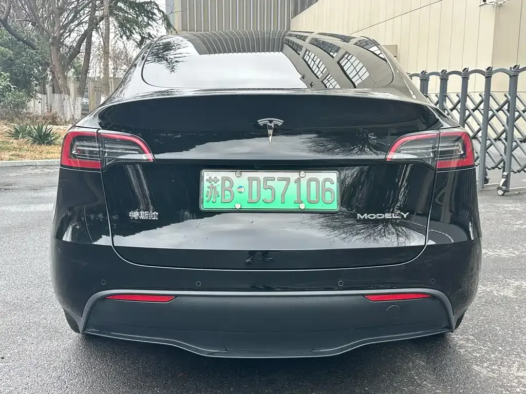 Tesla Model Y — фото 10