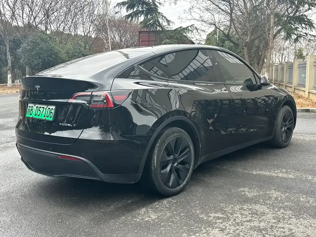 Tesla Model Y — фото 6