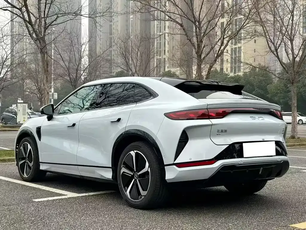 BYD L EV — фото 5