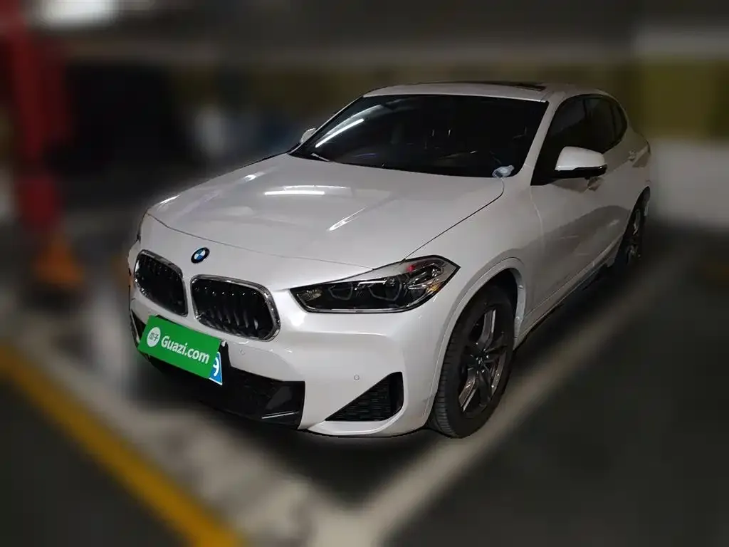 BMW X2 — фото 1