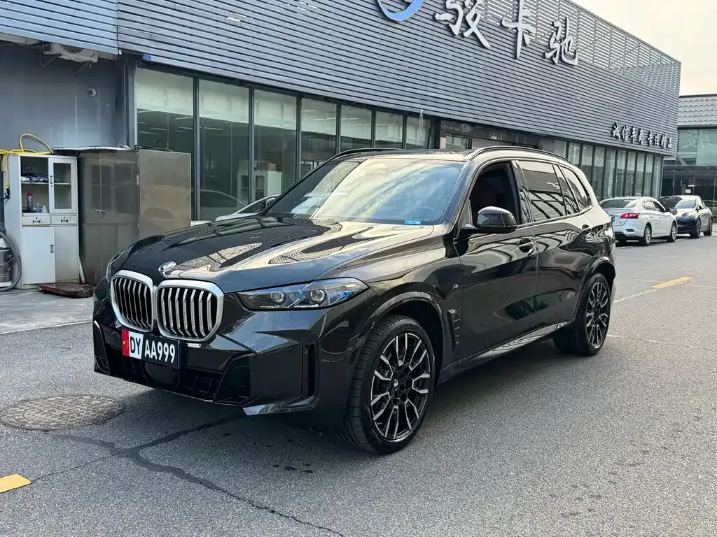 BMW X5 — фото 9