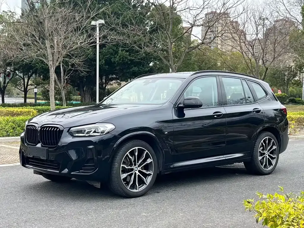 BMW X3 — фото 1