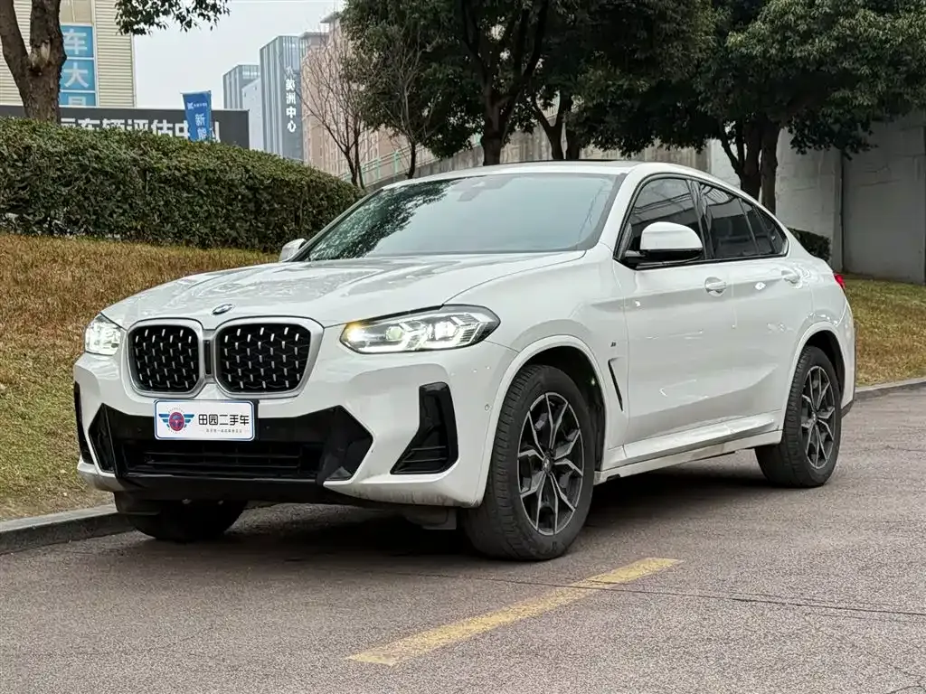 BMW X3 — фото 1