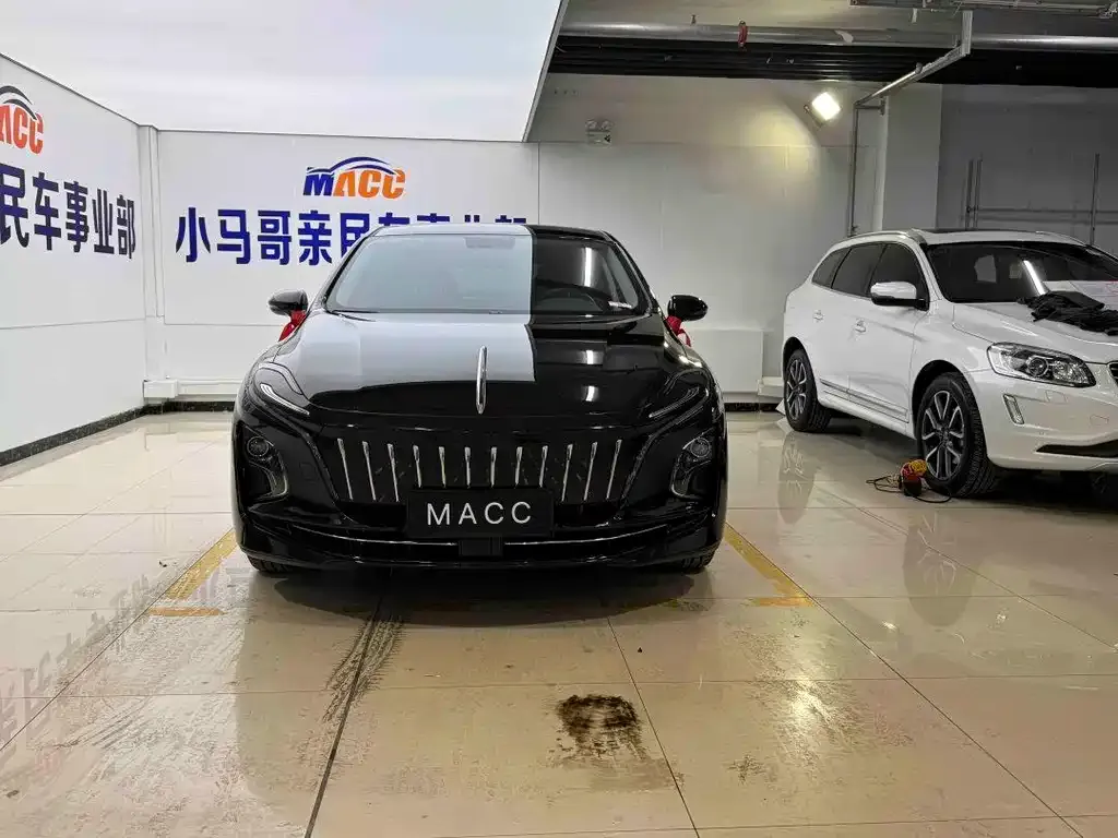 Hongqi E-QM5 — фото 1