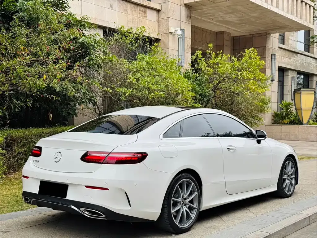 Mercedes-Benz E-Class (Import) — фото 10