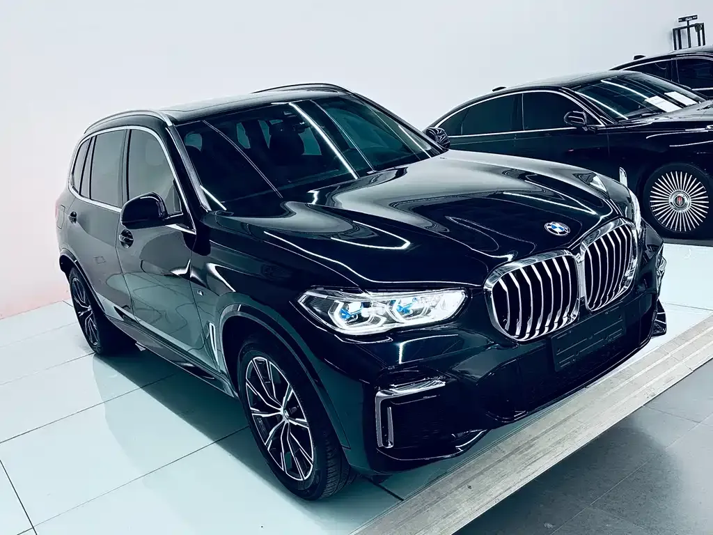 BMW X5 — фото 10