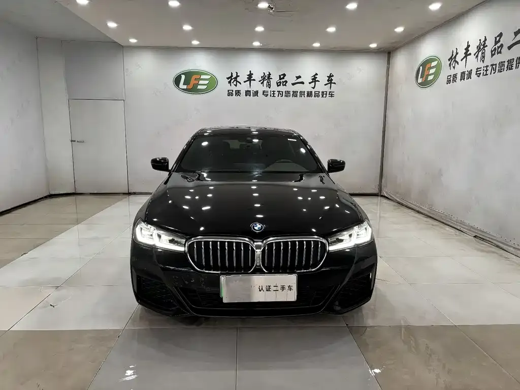 BMW 5 Series New Energy — фото 8