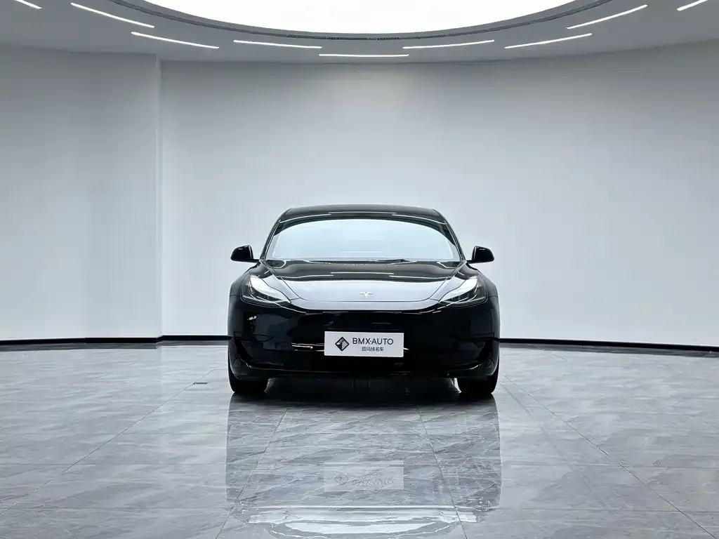 Tesla Model 3 — фото 3