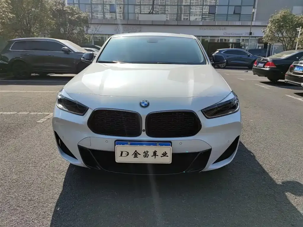 BMW X2 — фото 4