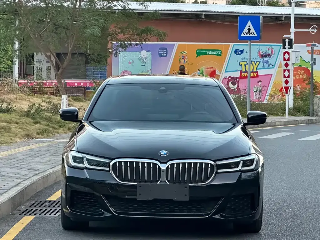 BMW 5 Series (Import) — фото 2