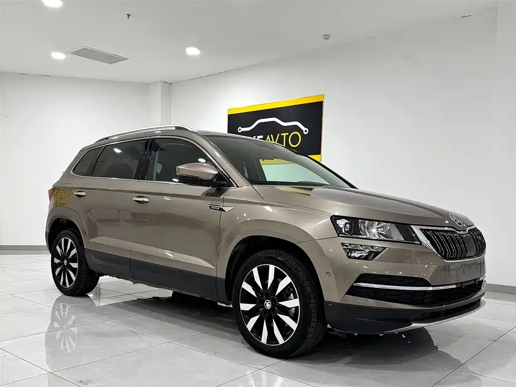 Skoda Karoq — фото 8