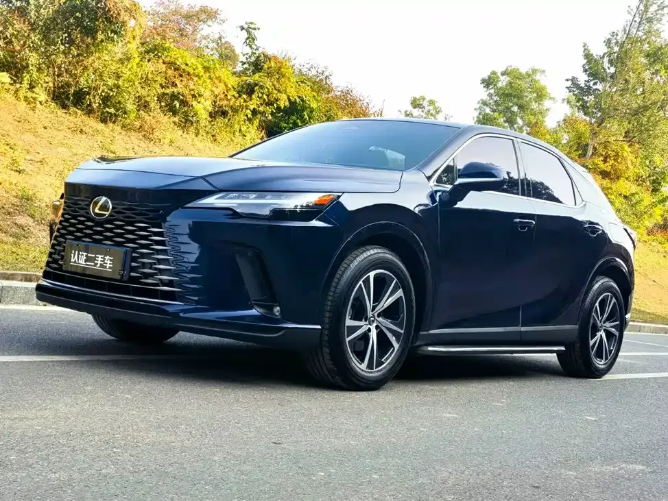 Lexus RX — фото 1