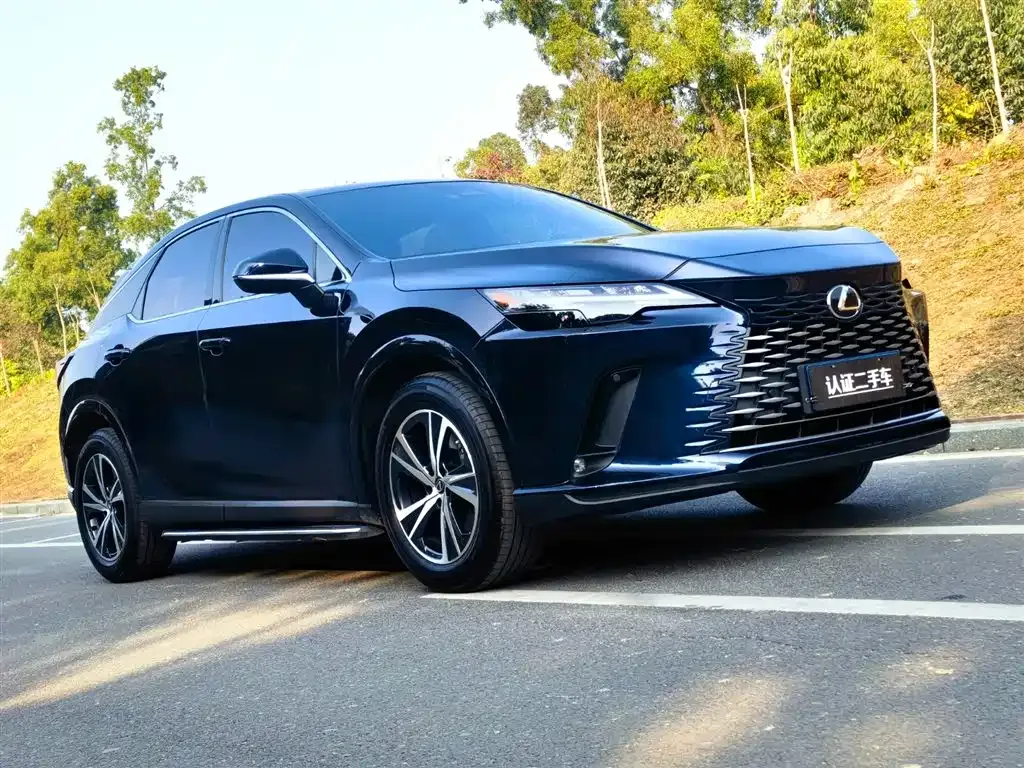 Lexus RX — фото 10