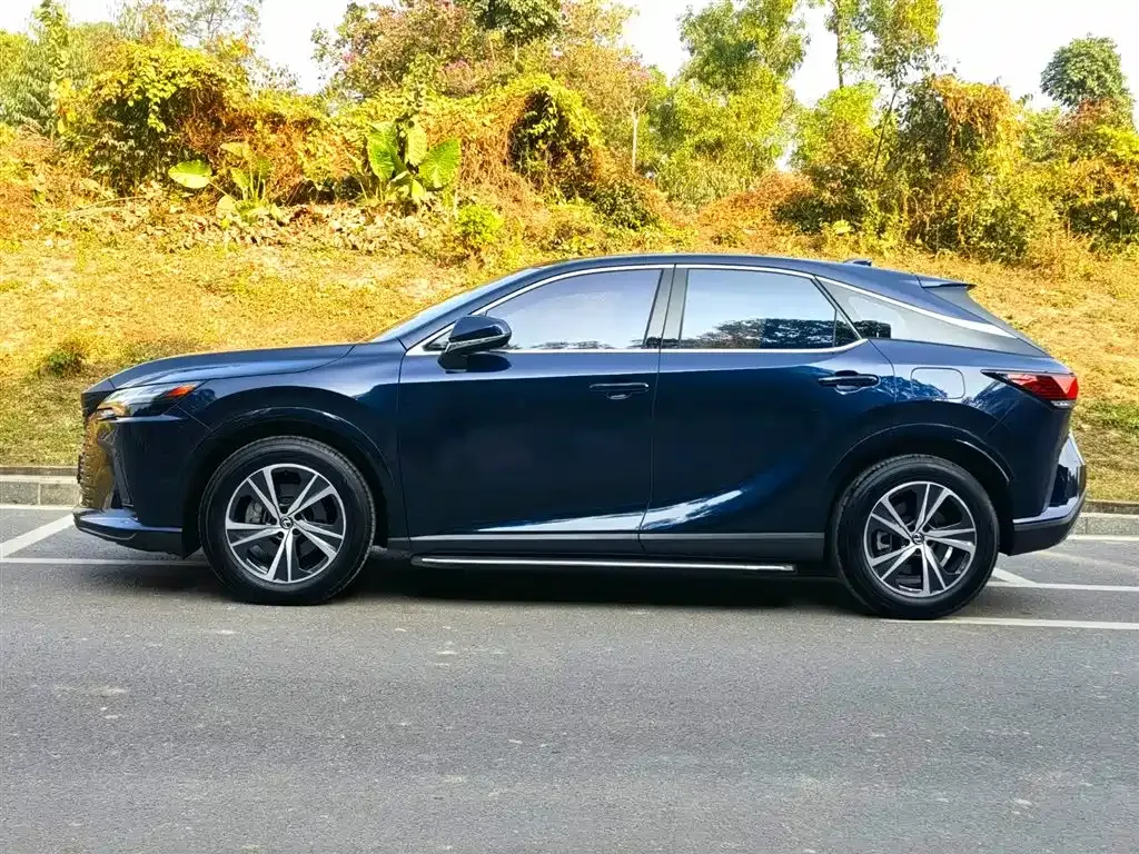 Lexus RX — фото 6