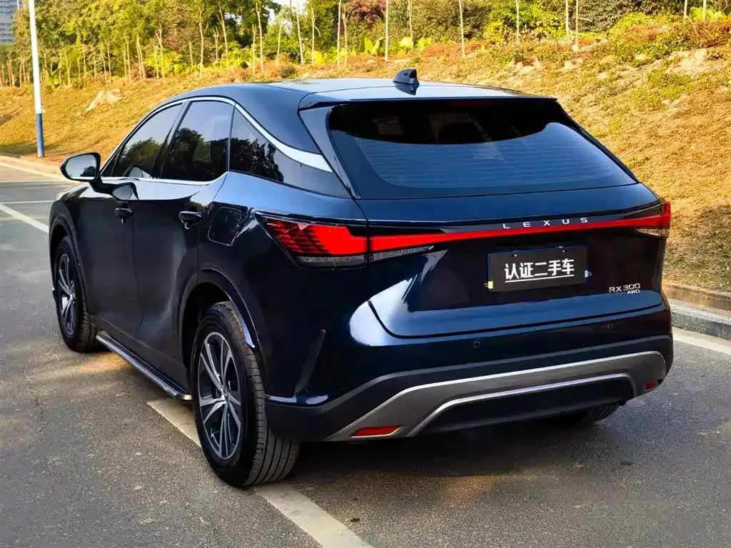 Lexus RX — фото 5