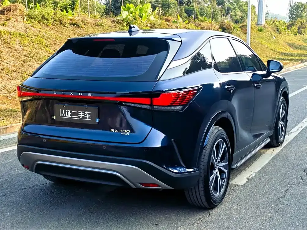 Lexus RX — фото 8