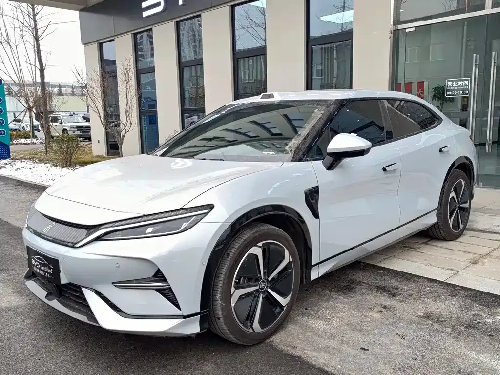 BYD L EV — фото 1