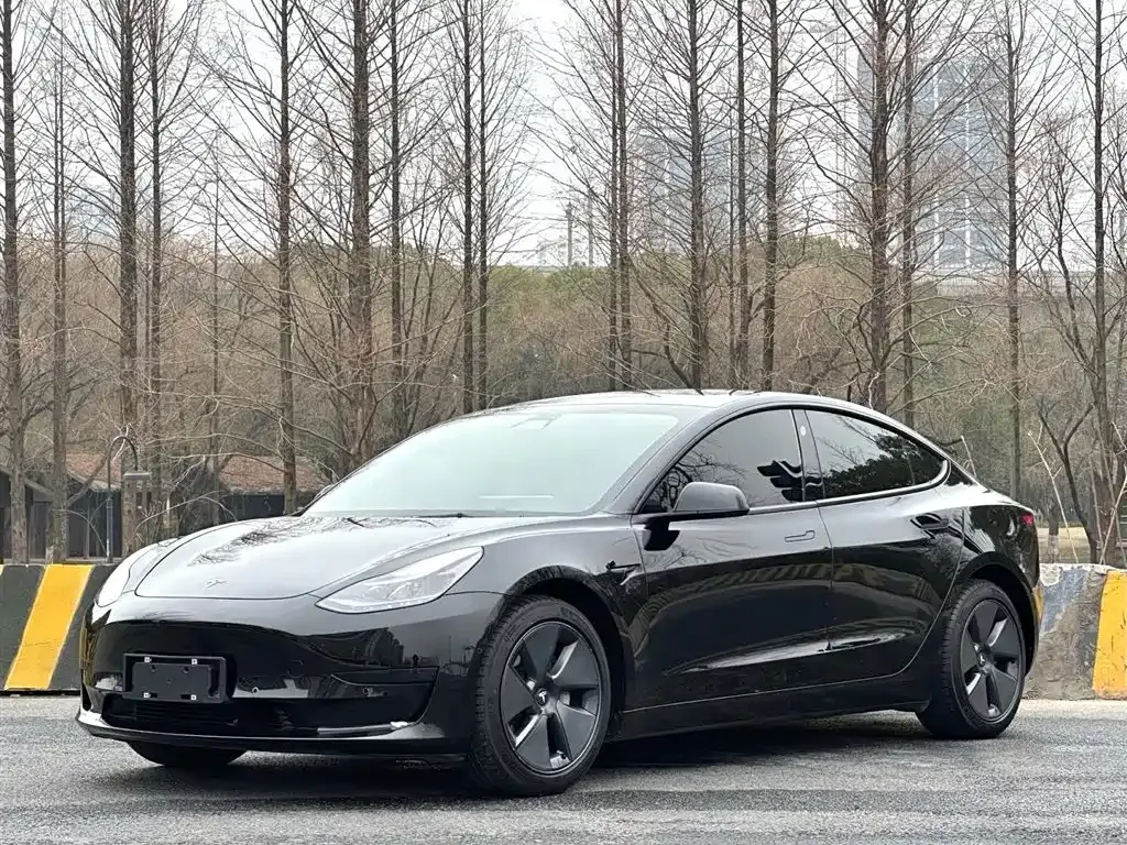 Tesla Model 3 — фото 1