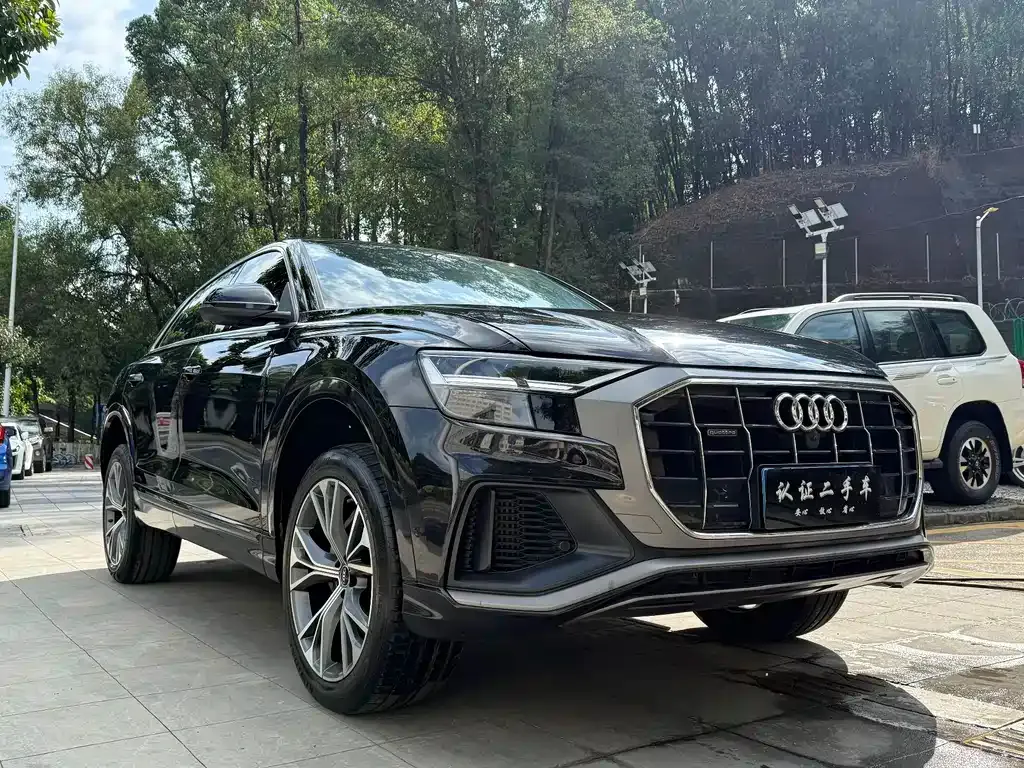 Audi Q8 — фото 9