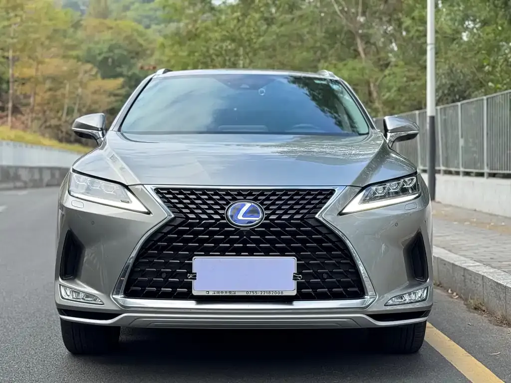 Lexus RX — фото 8