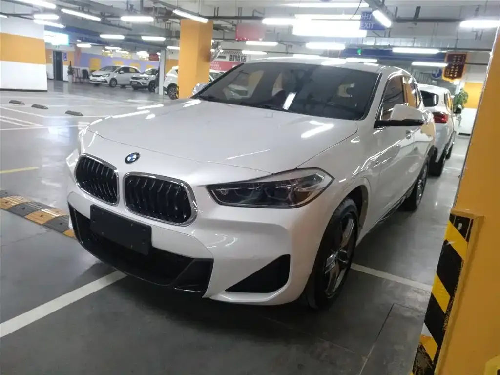 BMW X2 — фото 1