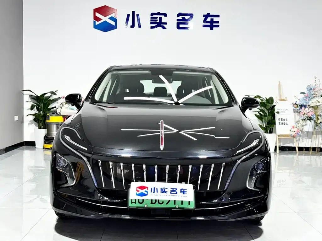 Hongqi E-QM5 — фото 4