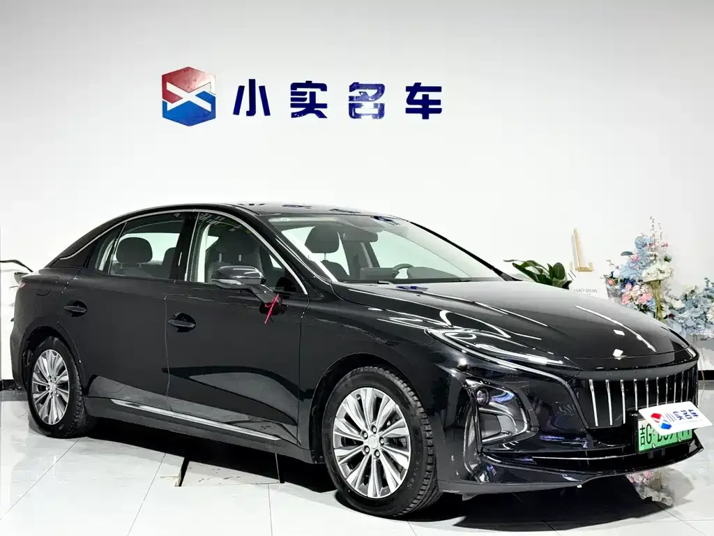 Hongqi E-QM5 — фото 6