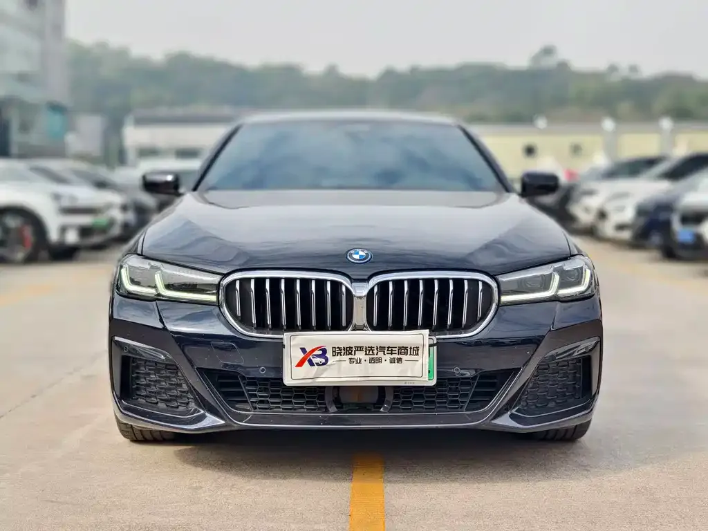 BMW 5 Series New Energy — фото 6
