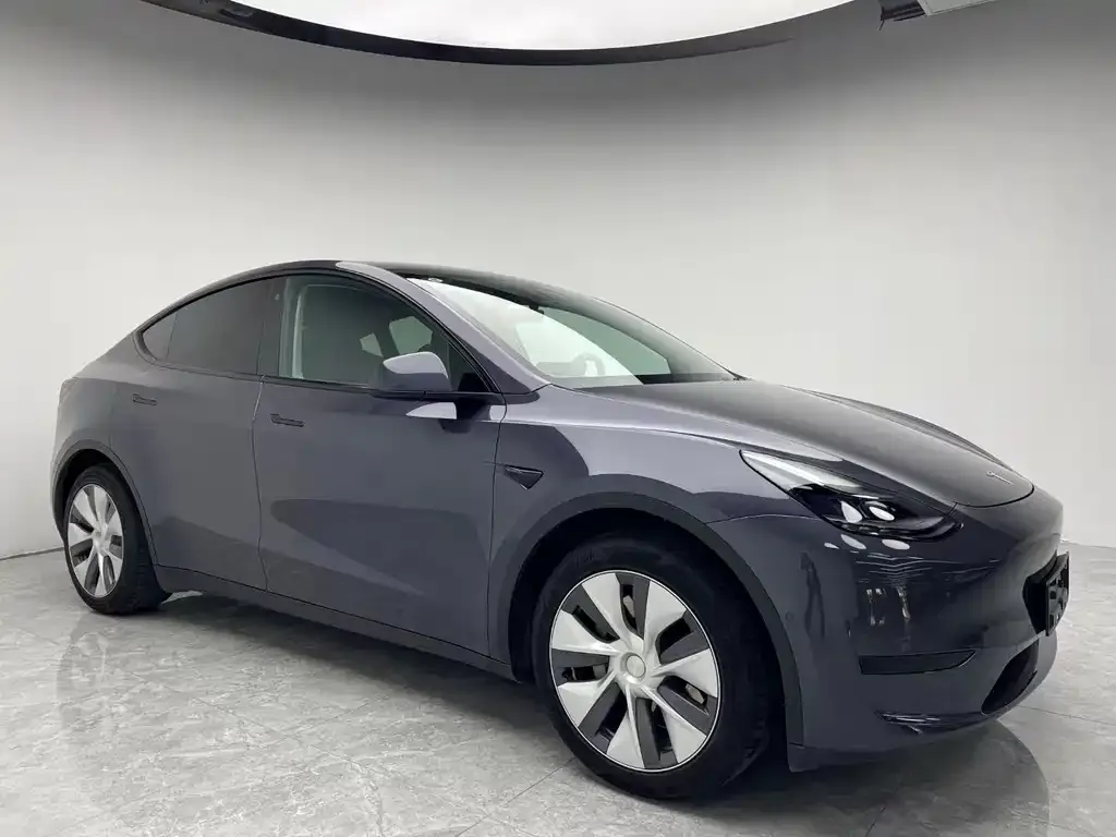 Tesla Model Y — фото 5