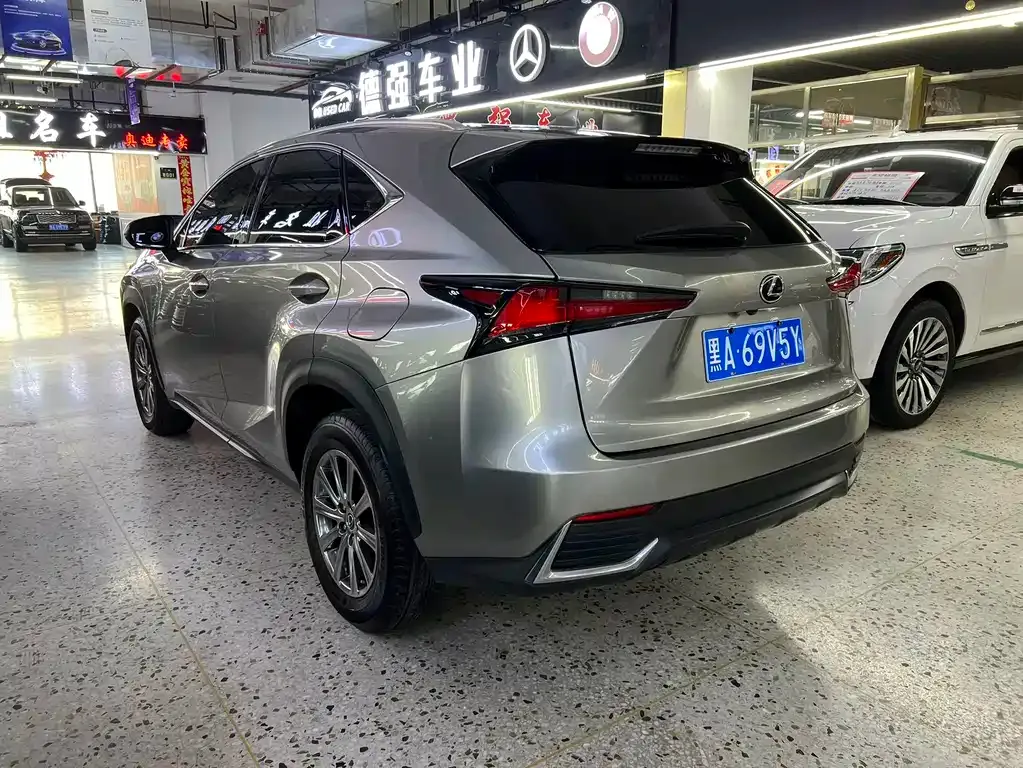 Lexus NX — фото 10