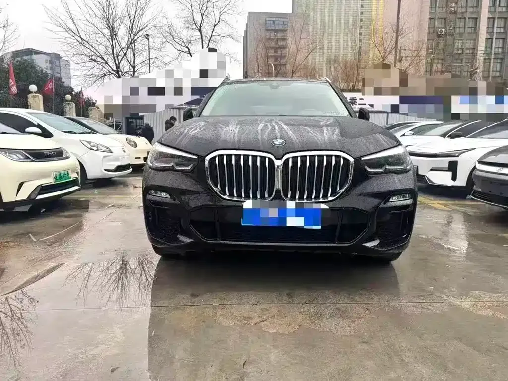 BMW X5 (Import) — фото 2