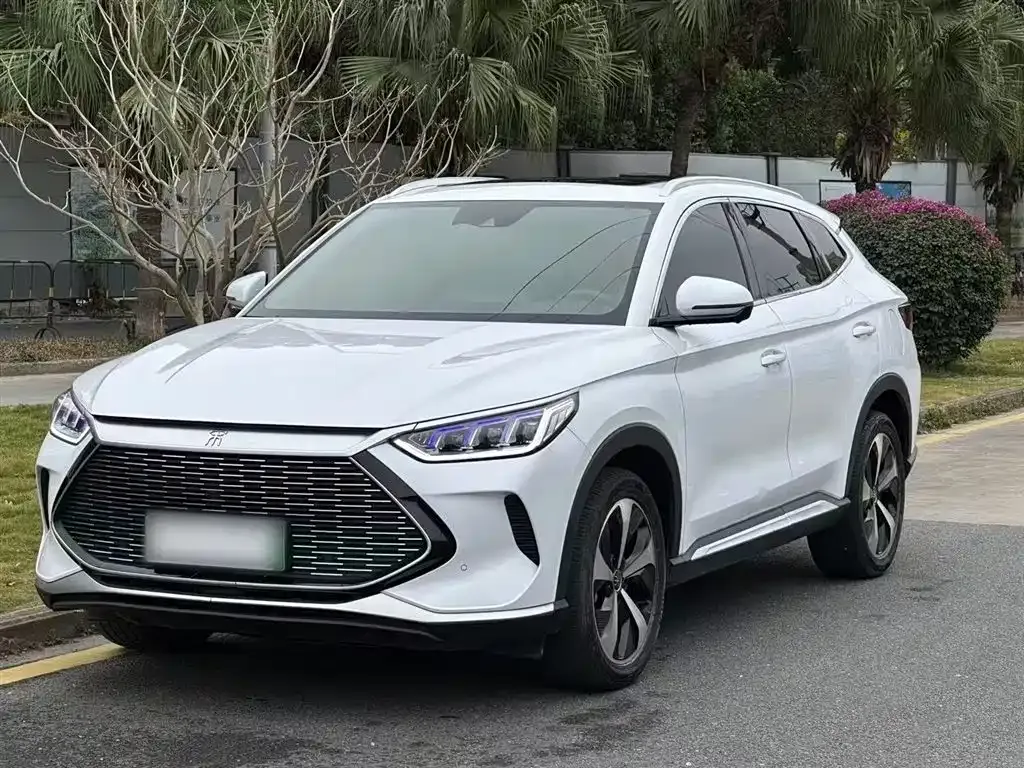BYD PLUS New Energy — фото 1
