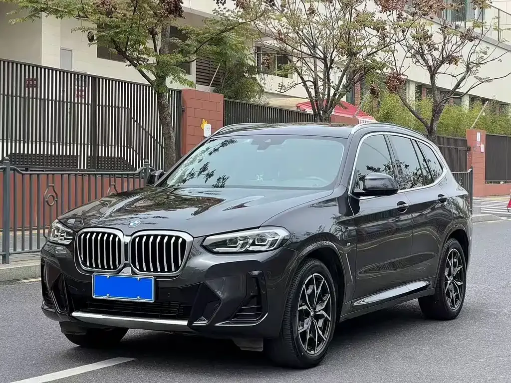 BMW X3 — фото 1